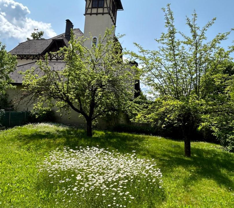 Photo of Others in Knittelfeld