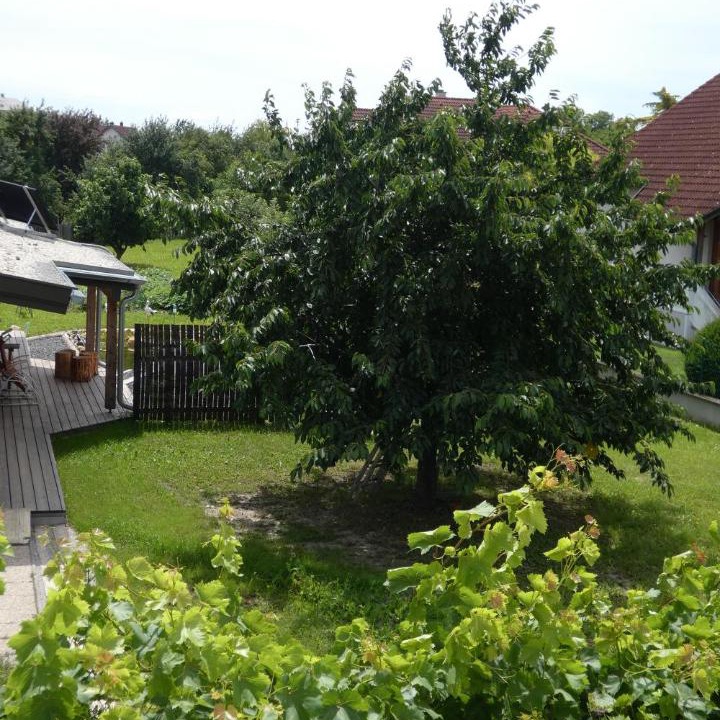 Photo of Others in St. Margarethen