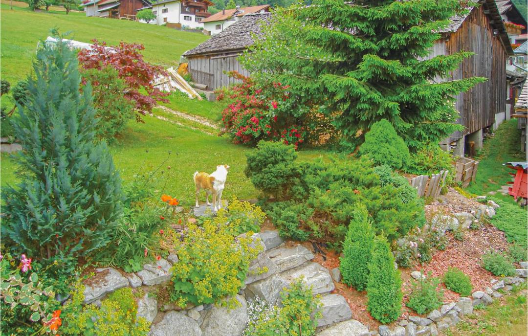 Photo of Others in Sankt Gallenkirch