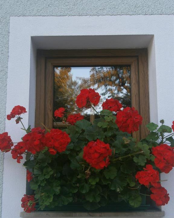 Photo of Others in Windischgarsten