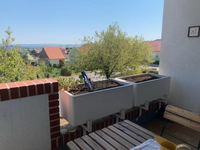 Photo of Others in Eisenstadt
