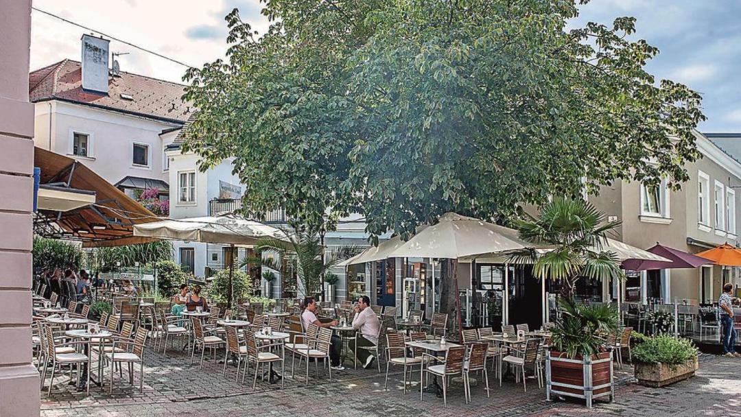 Photo of Others in Wiener Neustadt