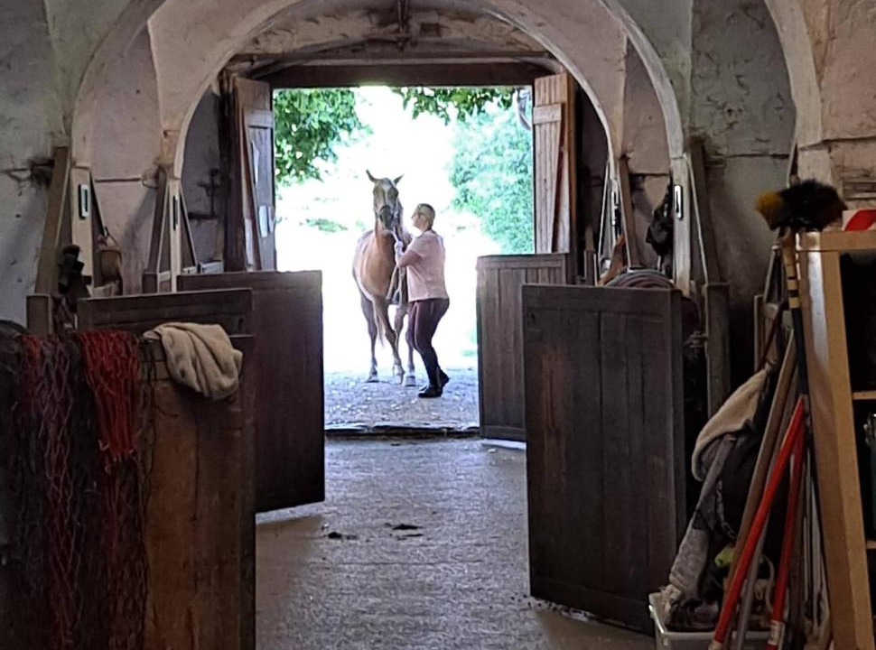 Photo of Others in Magdalensberg