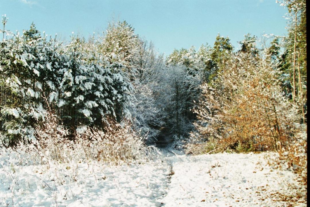 Photo of Others in Lassnitzhoehe