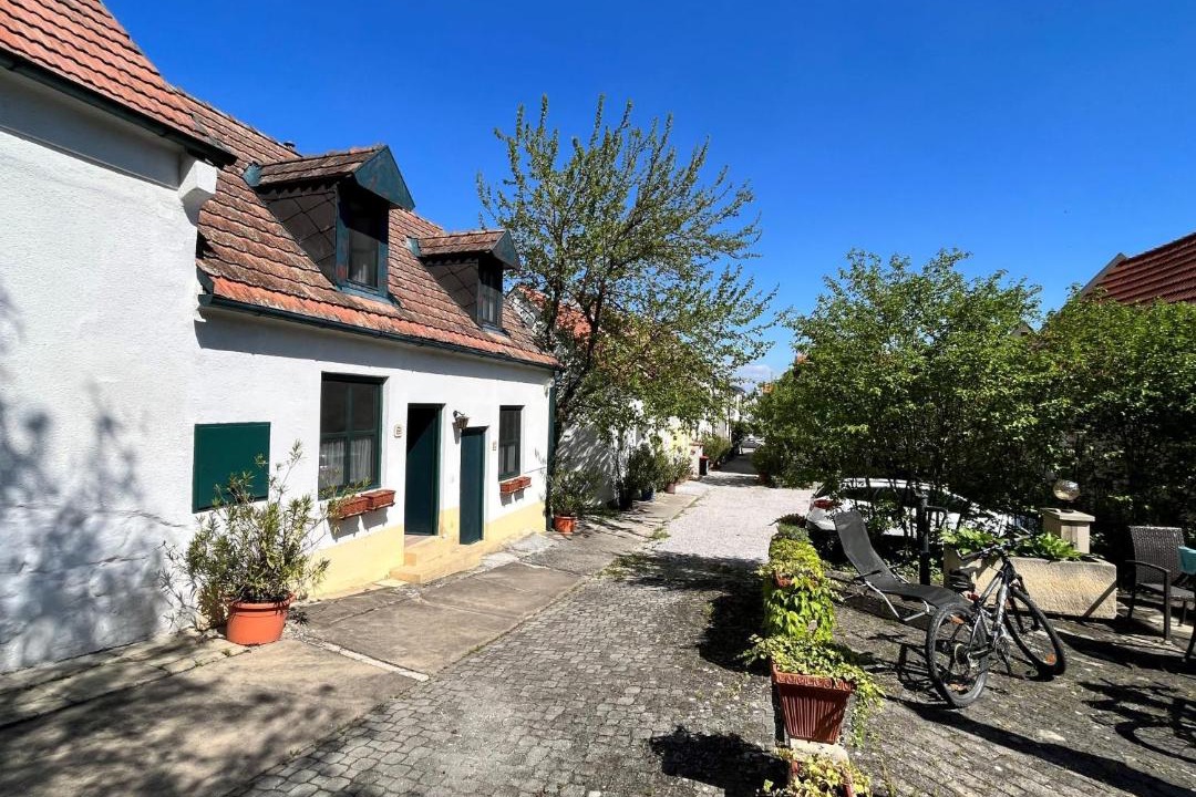 Photo of Others in Morbisch am See