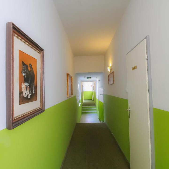 Photo of Others in Rudolfsheim-Funfhaus