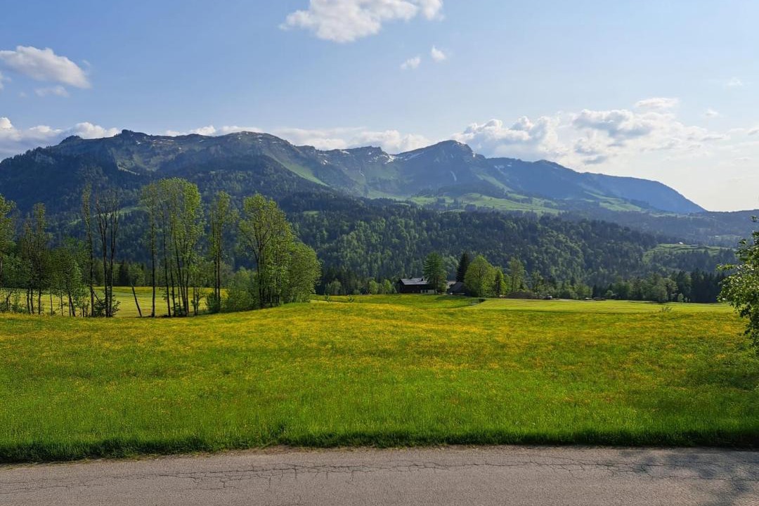 Photo of Others in Sibratsgfaell