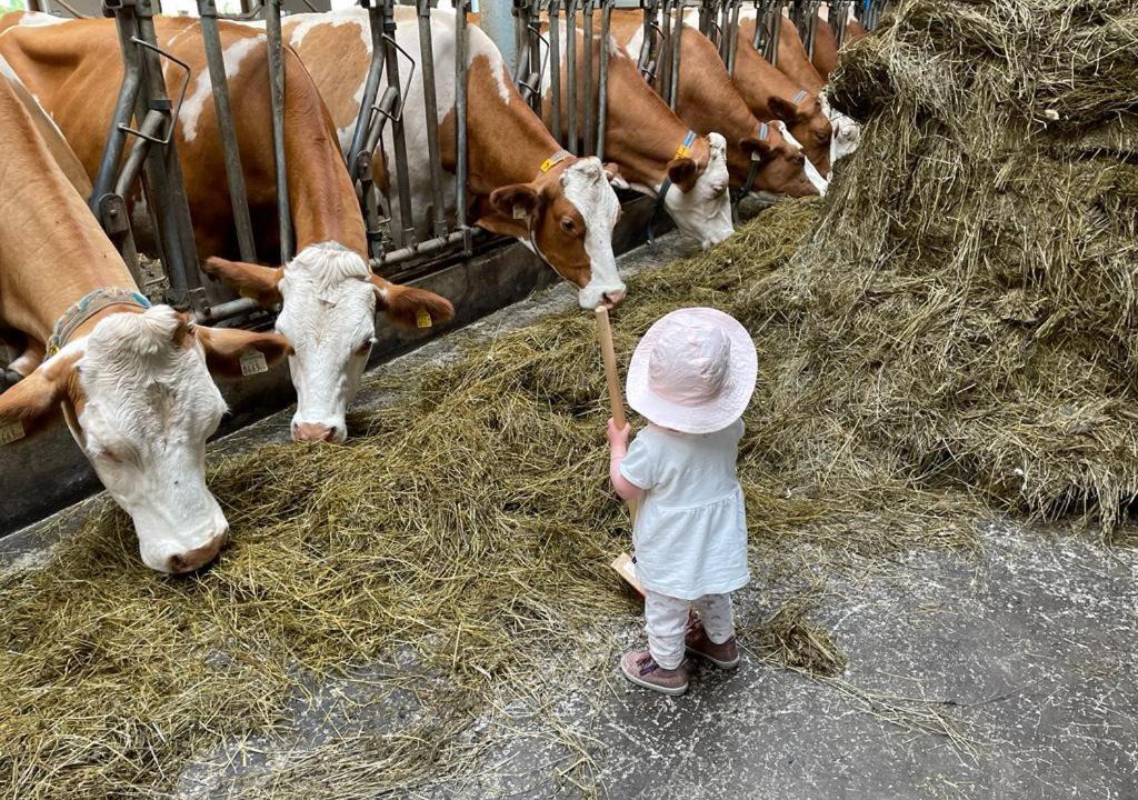 Photo of Others in Sankt Veit im Pongau