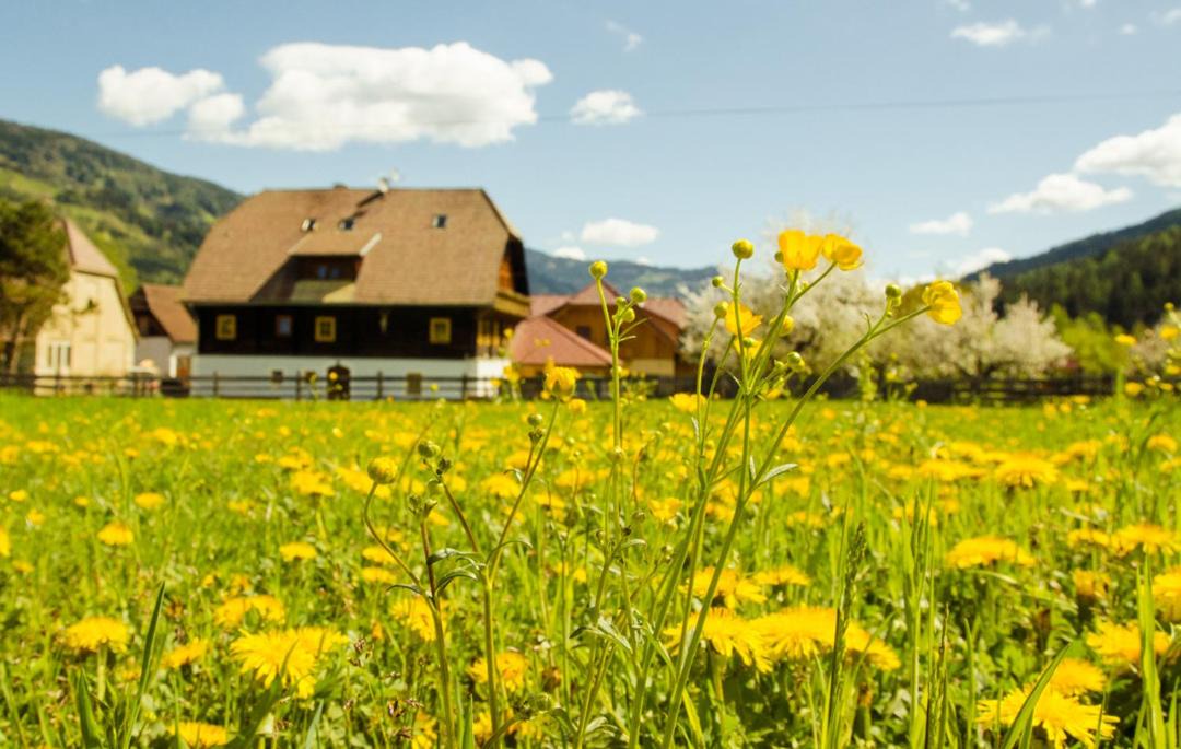Photo of Others in Sankt Georgen ob Murau