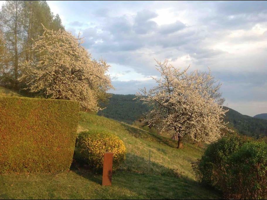 Photo of Others in Thal