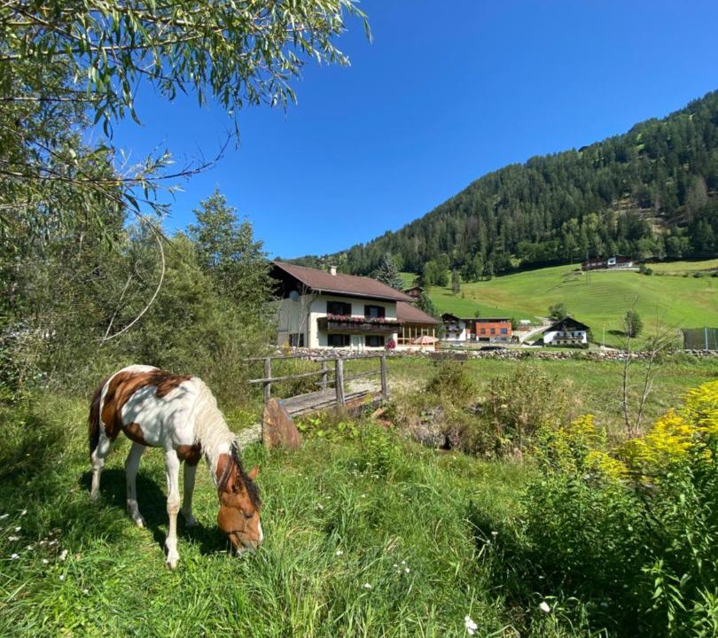 Photo of Others in Grosskirchheim