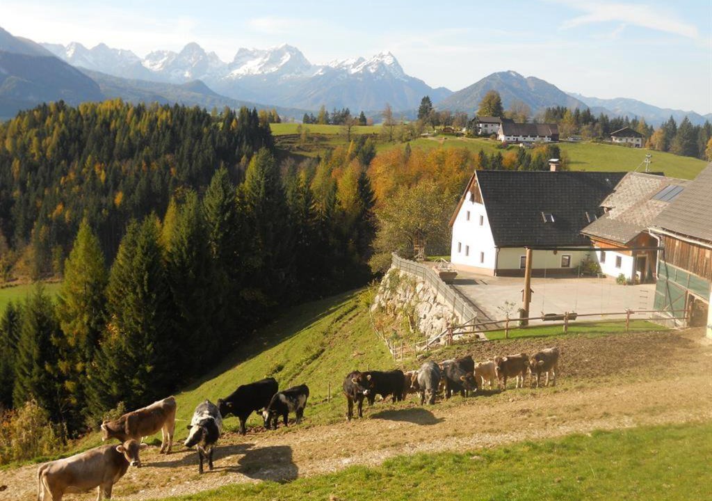 Photo of Others in Spital am Pyhrn