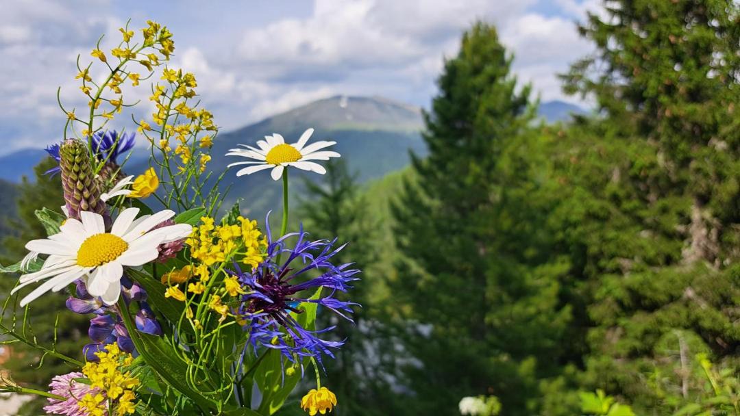 Photo of Others in Turracher Hohe