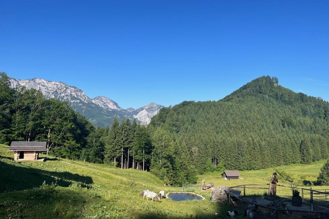 Photo of Others in Neukirchen bei Altmunster