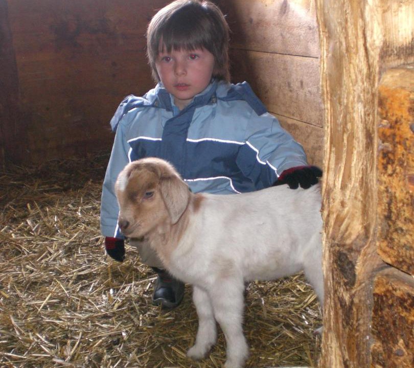 Photo of Others in Niederthai