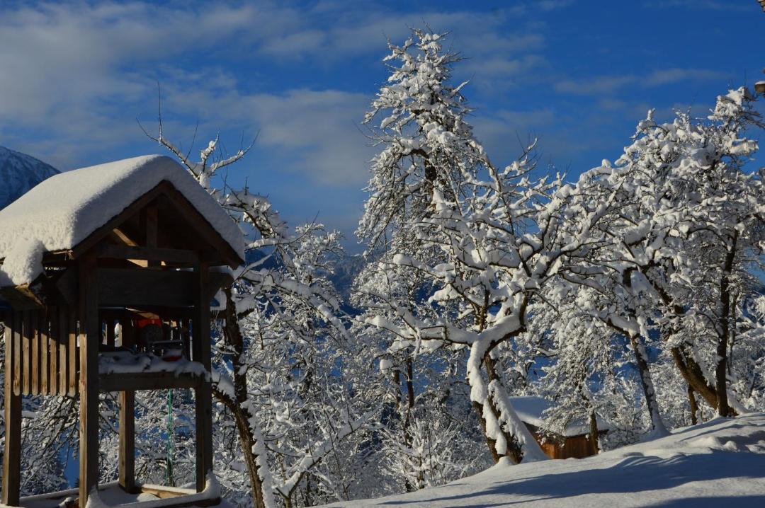 Photo of Others in Sankt Veit im Pongau