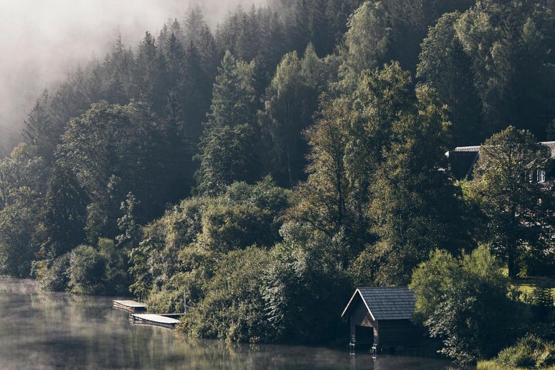 Photo of Others in Lunz am See