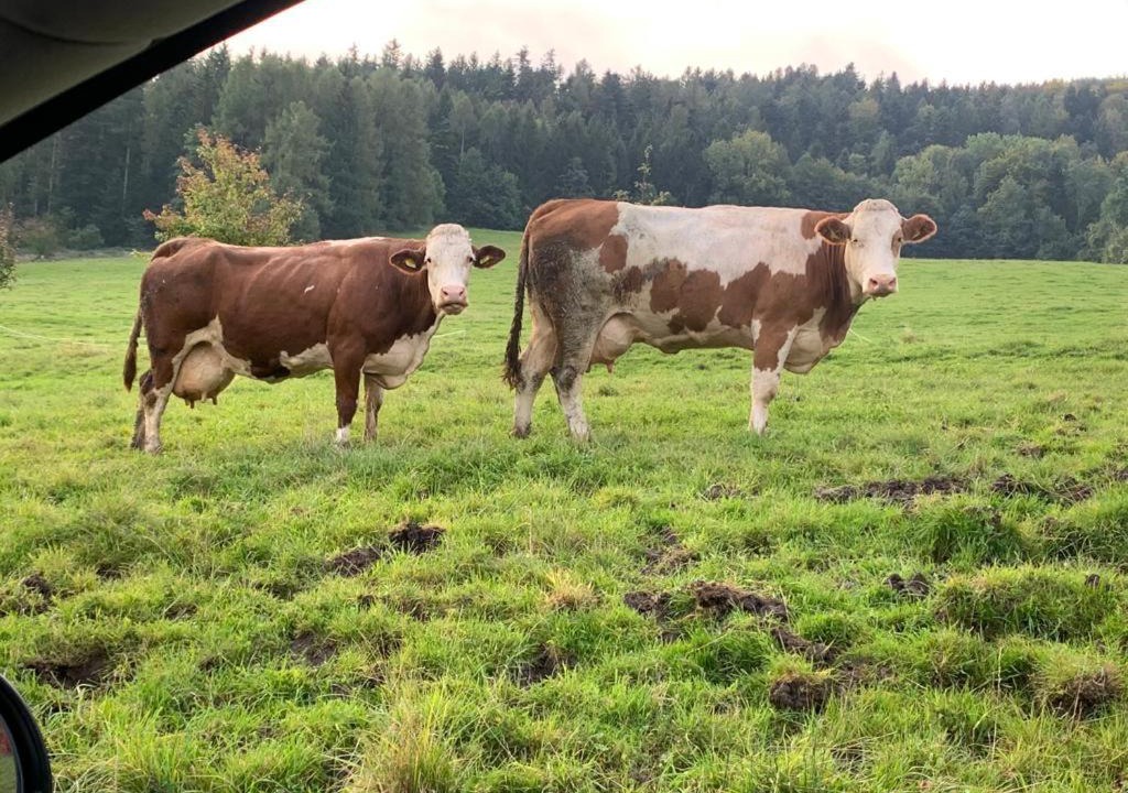 Photo of Others in Michelbach