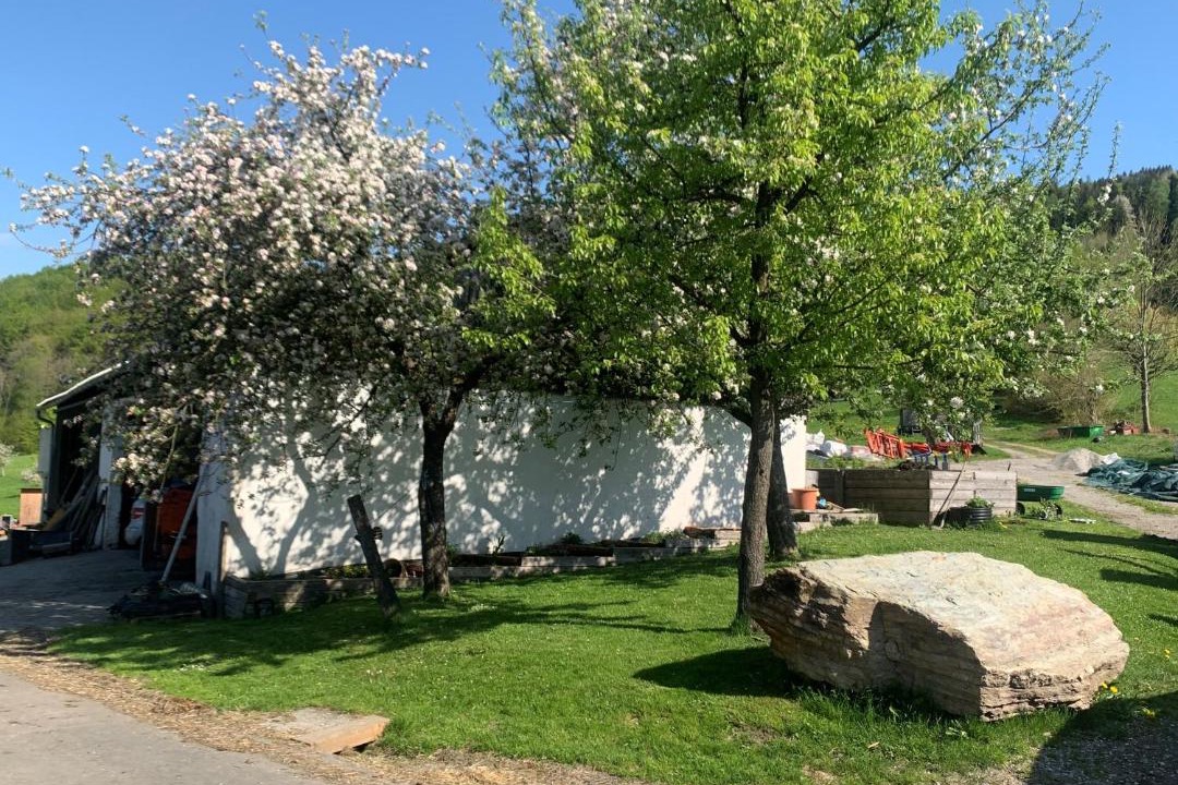 Photo of Others in Michelbach
