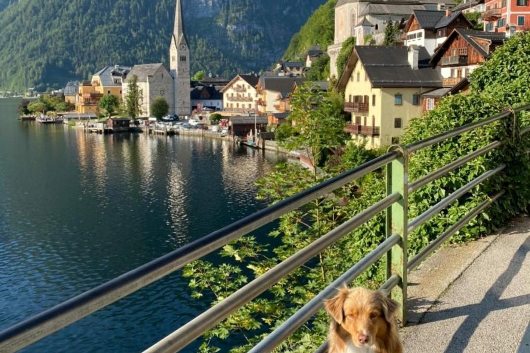 Photo of Others in Hallstatt
