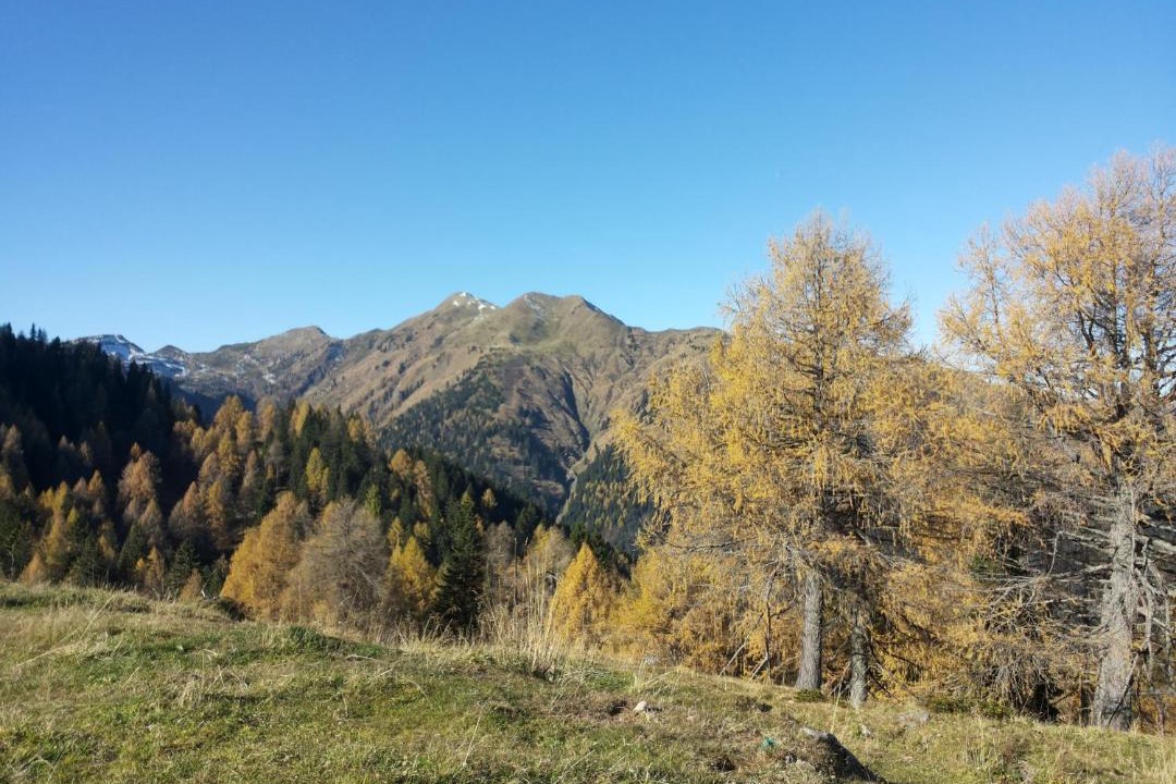 Photo of Others in Watschig