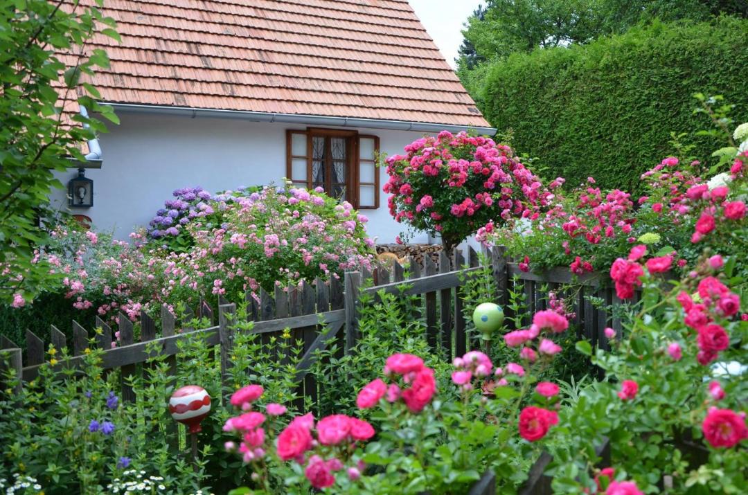 Photo of Others in Weiz