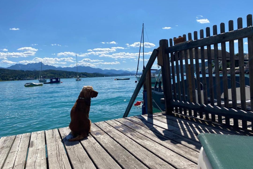 Photo of Others in Poertschach am Woerthersee