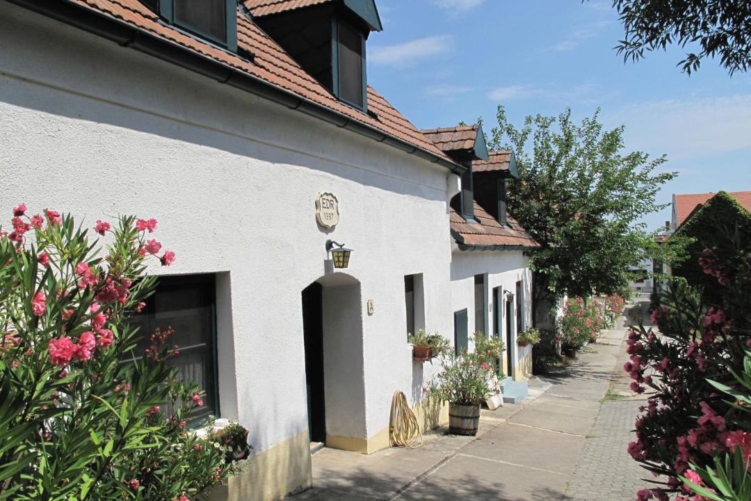 Photo of Others in Morbisch am See