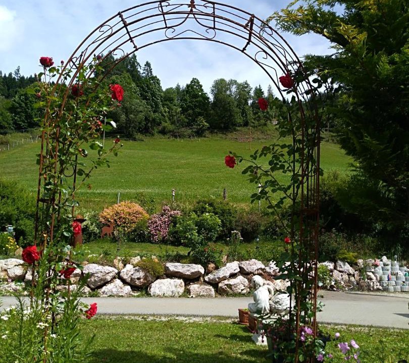 Photo of Others in Seebach