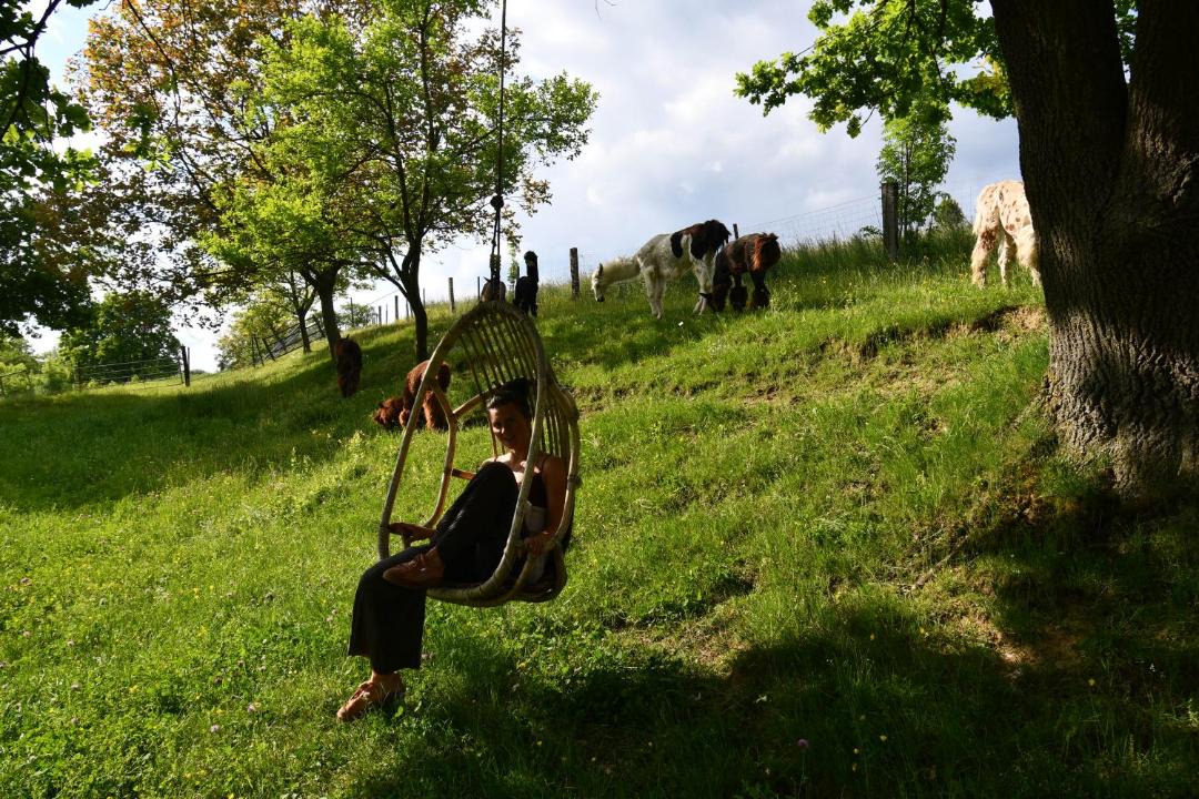 Photo of Others in Oberndorf an der Melk
