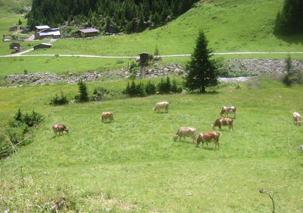 Photo of Others in Zellberg