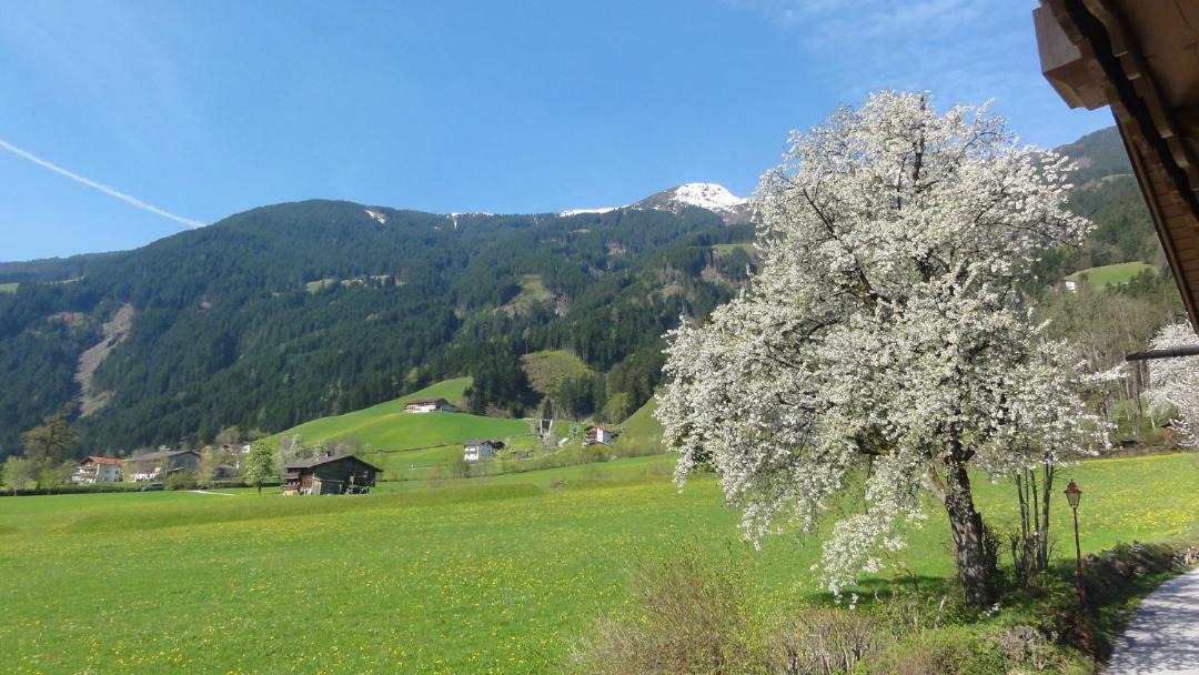 Photo of Others in Zellberg