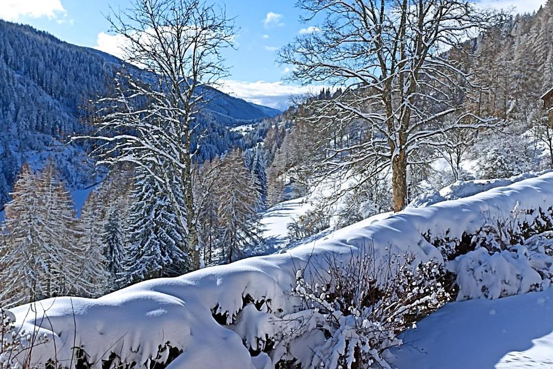 Photo of Others in Seebach
