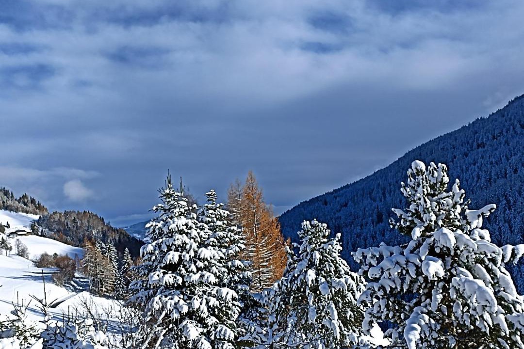 Photo of Others in Seebach