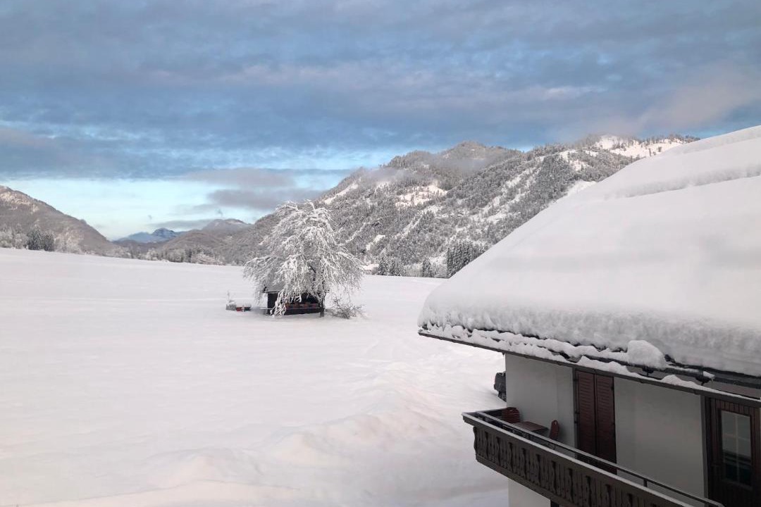 Photo of Others in Gitschtal