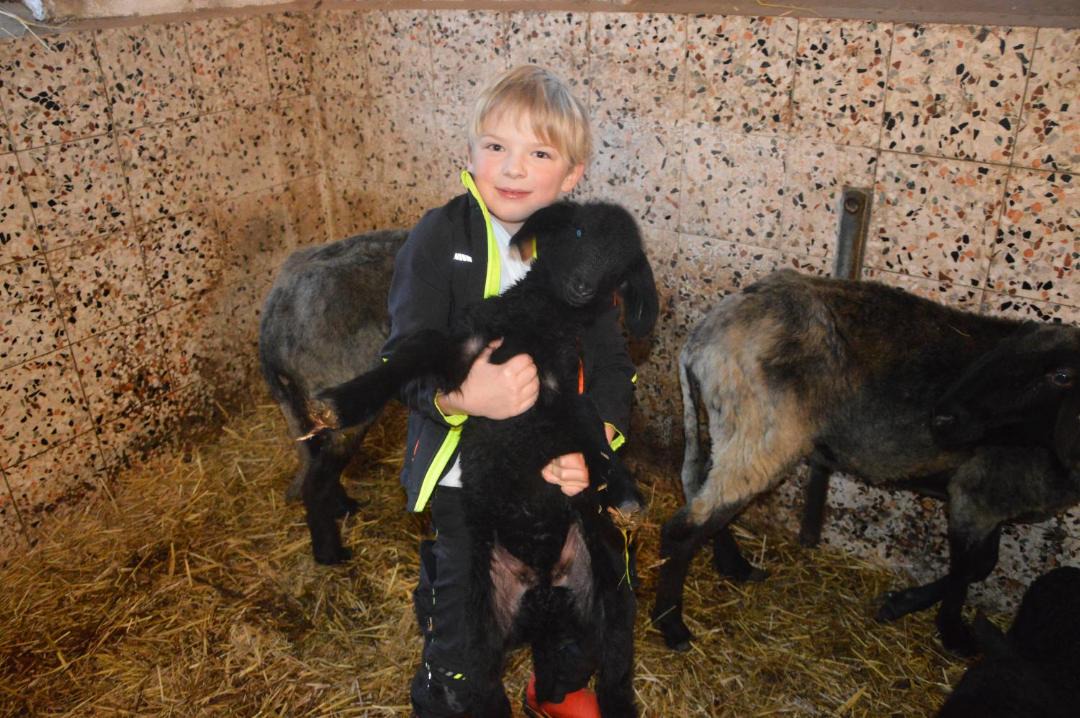 Photo of Others in Sankt Veit im Pongau