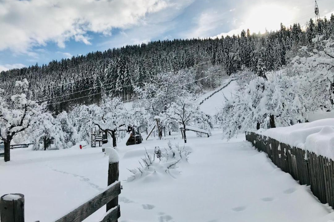 Photo of Others in Sankt Georgen ob Murau