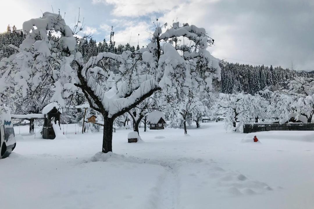 Photo of Others in Sankt Georgen ob Murau