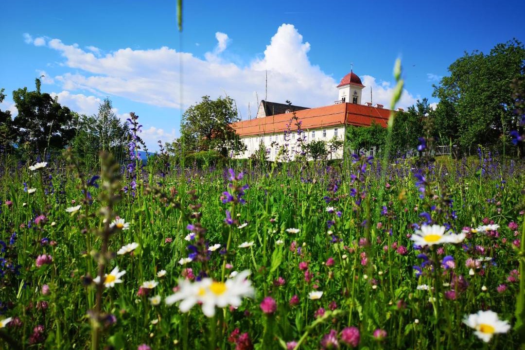 Photo of Others in Sankt Georgen am Langsee