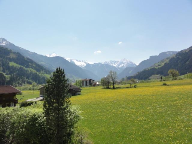 Photo of Others in Zellberg