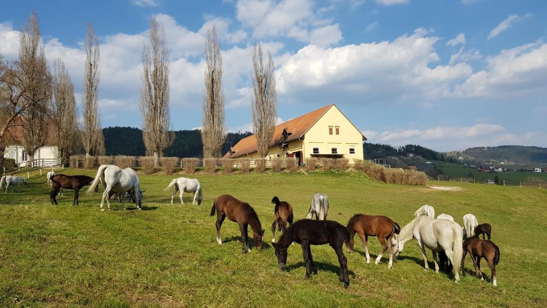 Photo of Others in Voitsberg