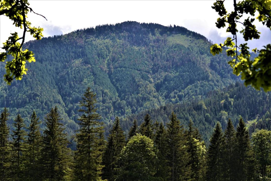 Photo of Others in Schwarzau im Gebirge