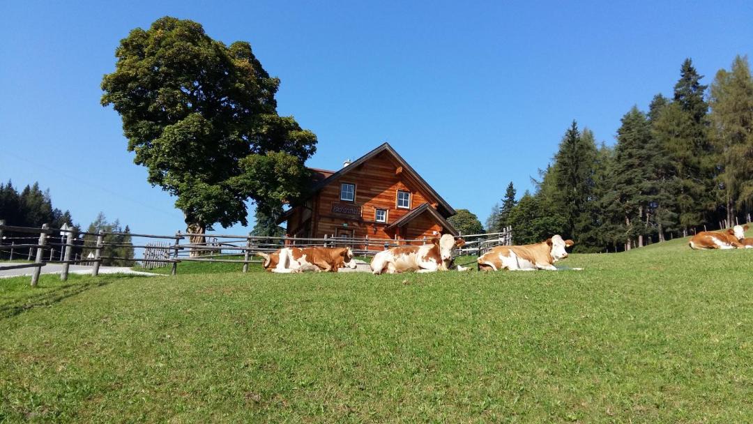 Photo of Others in Pruggern