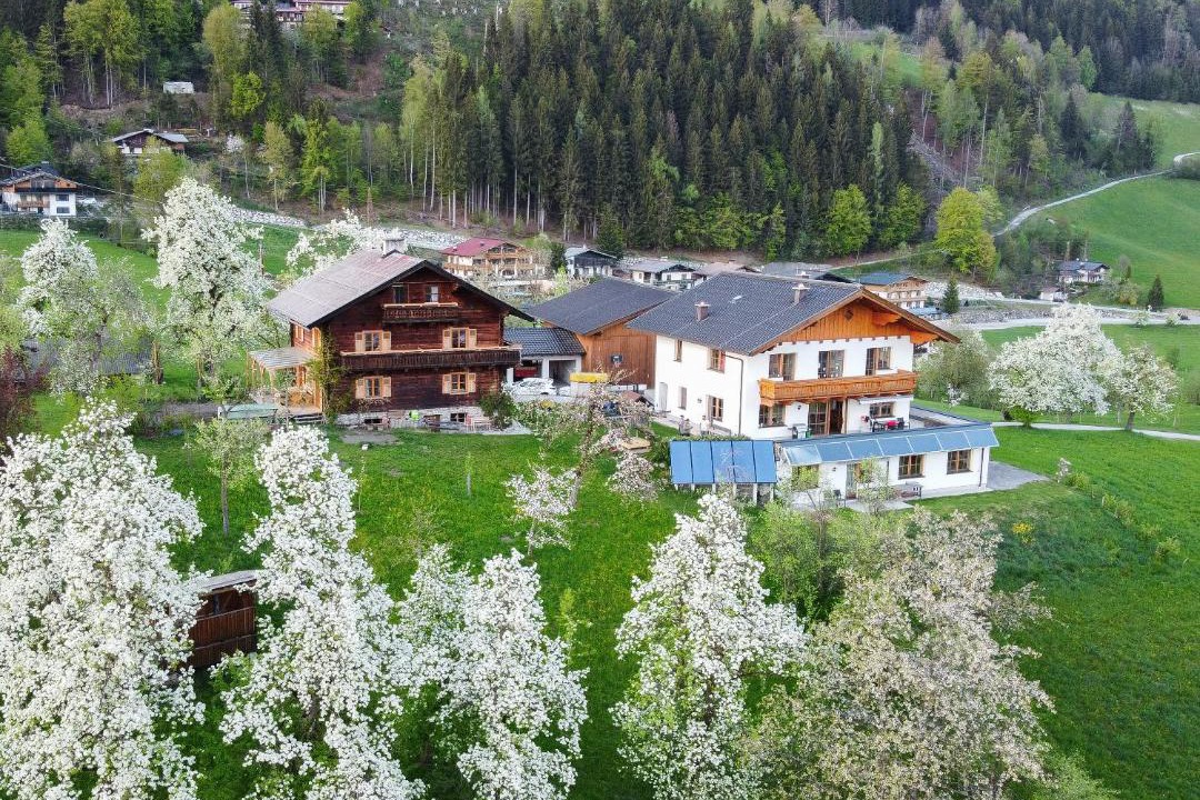 Photo of Others in Sankt Veit im Pongau