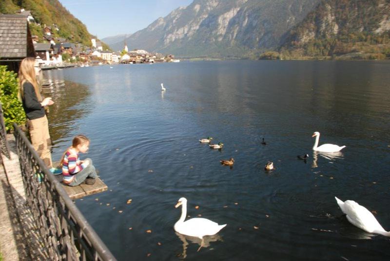 Photo of Others in Hallstatt