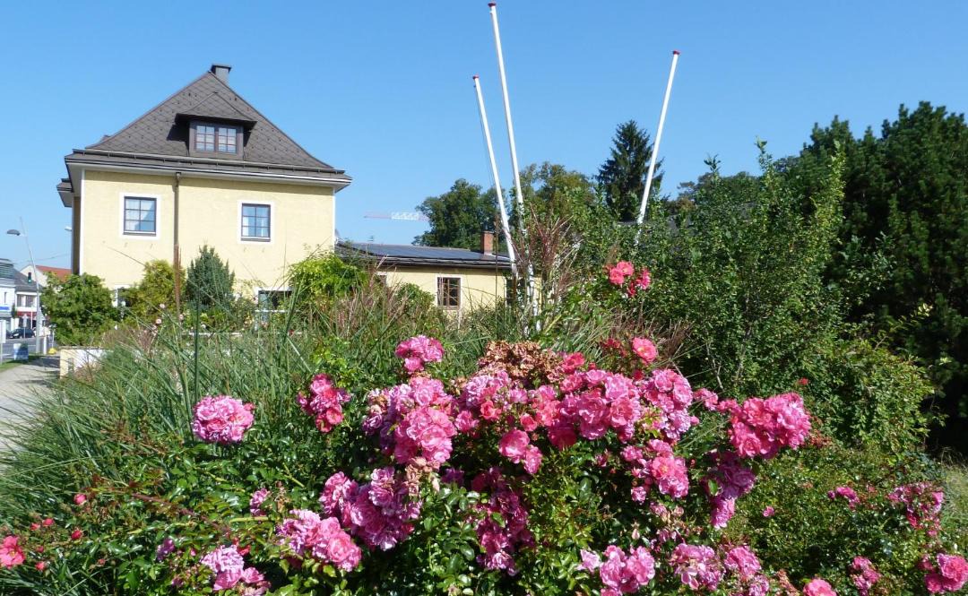 Photo of Others in Wieselburg