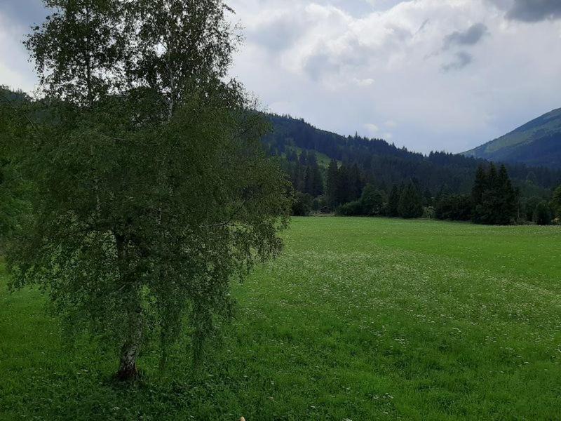 Photo of Outdoor in Zoeblen