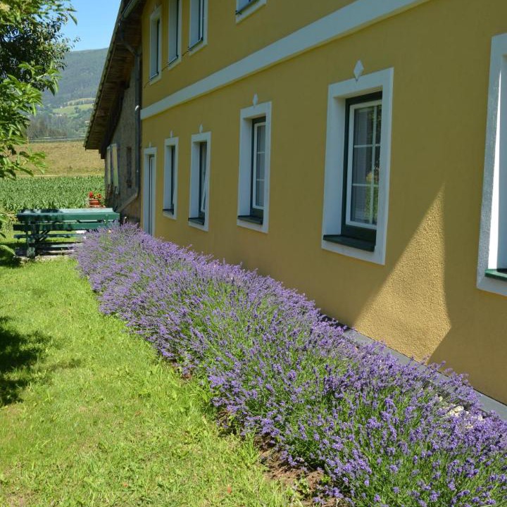 Photo of Others in Sankt Georgen am Kreischberg