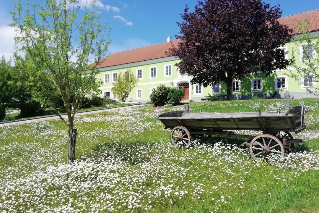 Photo of Others in Wolfsbach
