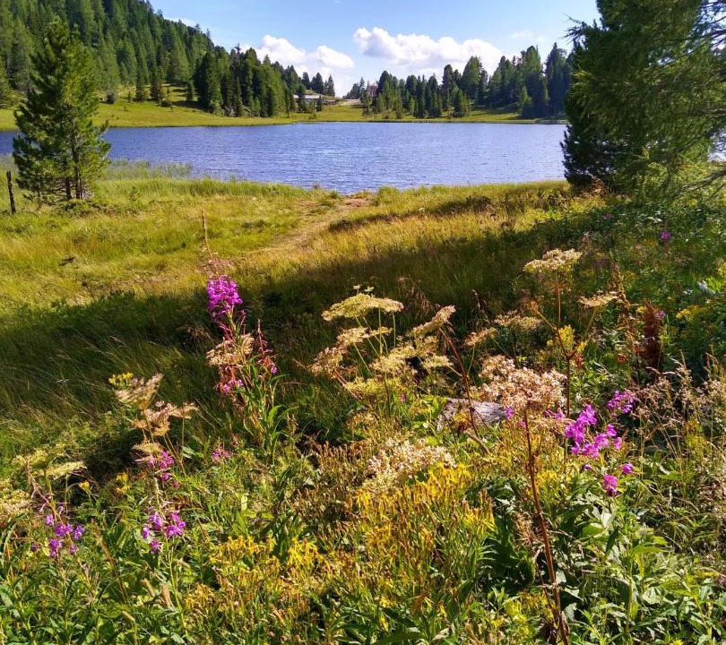 Photo of Others in Turracher Hohe